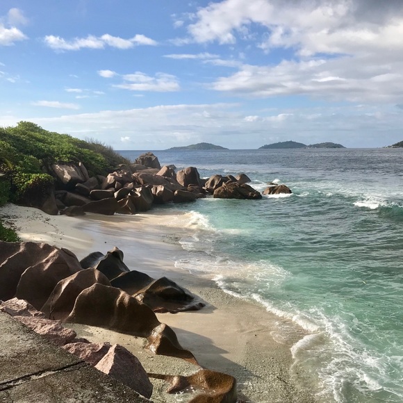 Meet your Posher, Royce - Picture 1 of 1